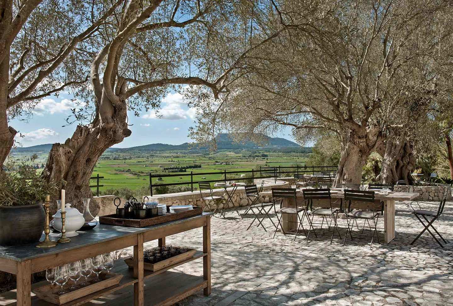 Finca Serena Olive Grove